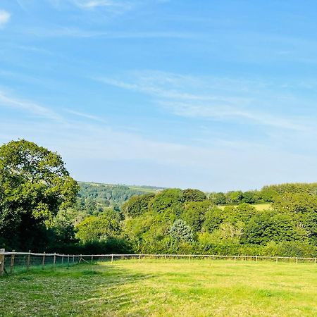 קארמרת'ן 1 Bedroom Holiday Let In The Heart Of West Wales מראה חיצוני תמונה