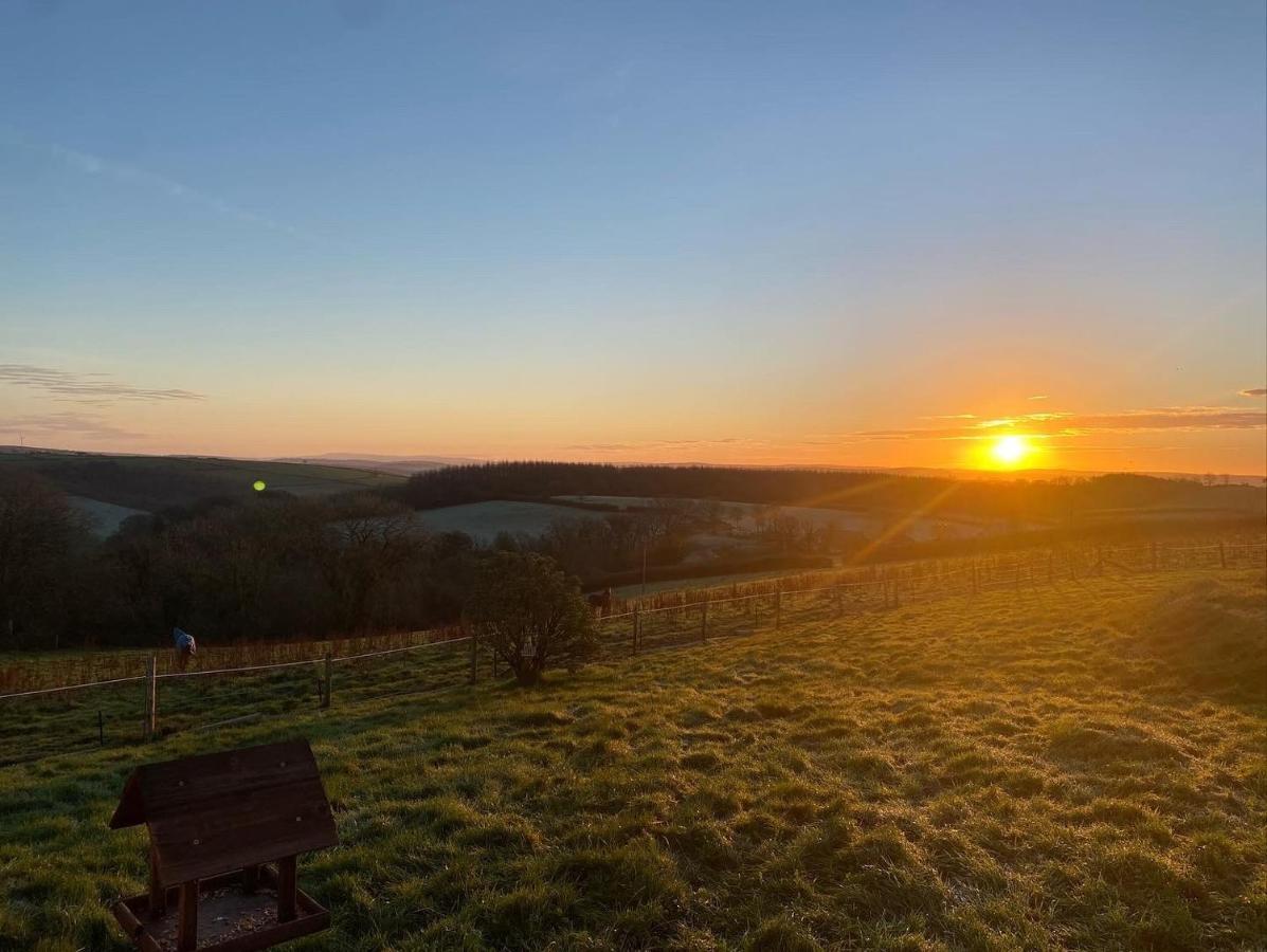 קארמרת'ן 1 Bedroom Holiday Let In The Heart Of West Wales מראה חיצוני תמונה