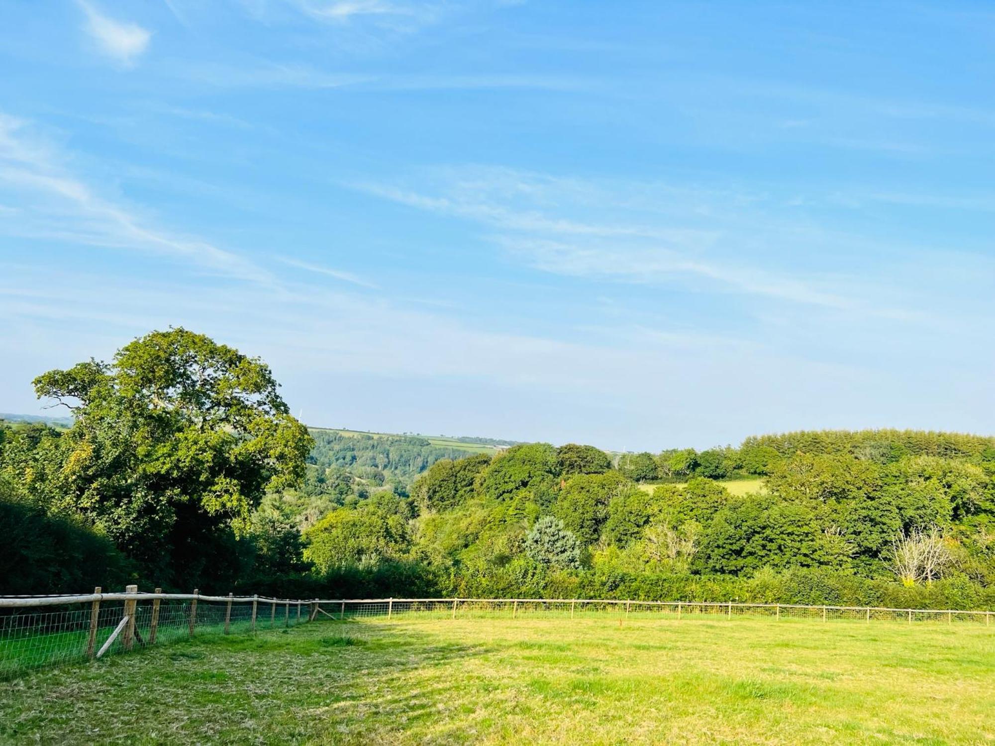 קארמרת'ן 1 Bedroom Holiday Let In The Heart Of West Wales מראה חיצוני תמונה